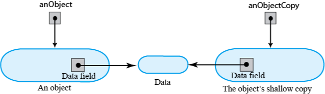 A shallow copy of an object whose data field is another object