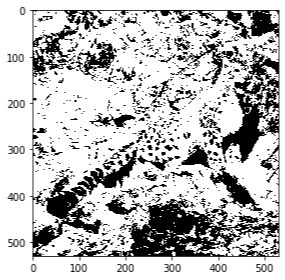 Leopard binary image obtained using threshold_otsu from skimage.filters package