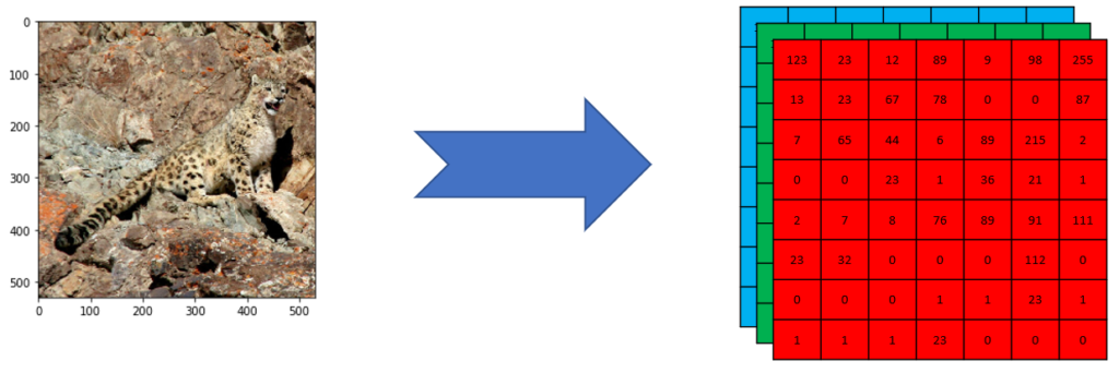 Leopard Color Image to RGB layers pixels values representation
