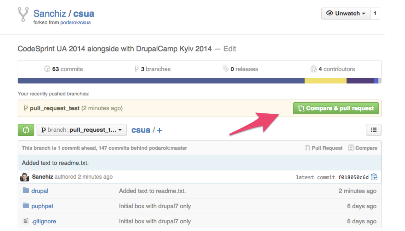Compare and Pull Request option